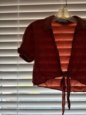 Urban Outfitters Rust Tie-Front Sheer Blouse